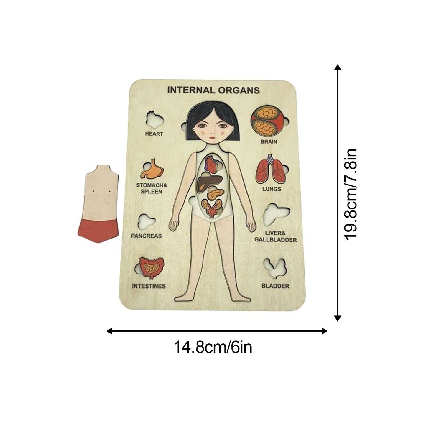 NordTræ™ | 'Opdag menneskekroppen' - Stable-puslespil