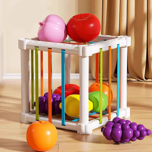 Fruit Box™ - Klip, leg, lær - frugt i æske