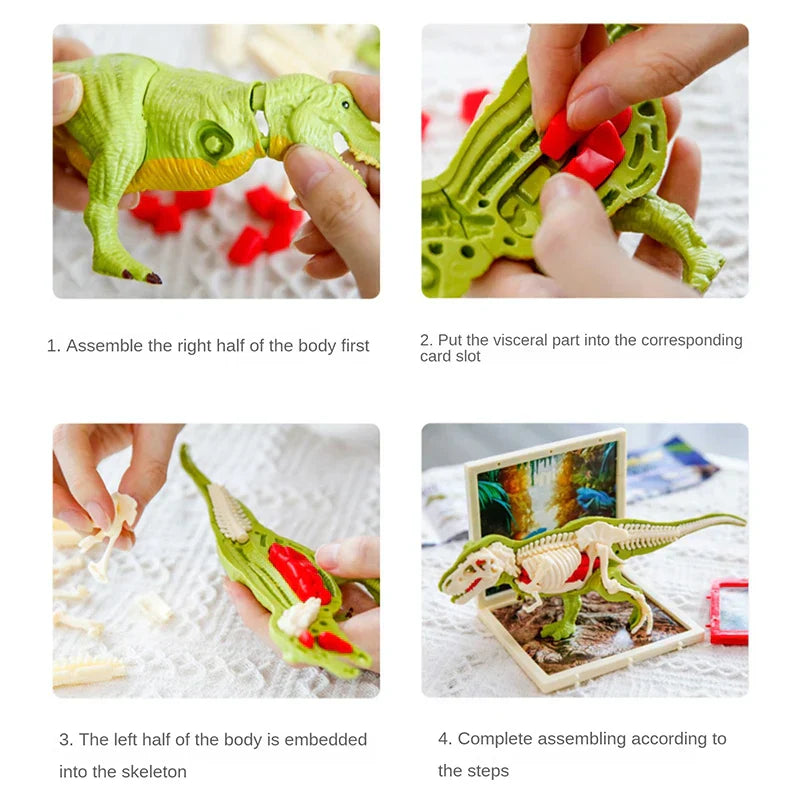 DinoDig – Spændende og lærerigt – Fossiludgravningssæt